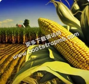 致力于提供卓越体育服务 - 开云·体育