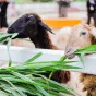 探索体育世界的精彩 - 开云·体育