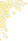 200+ - 开云·体育